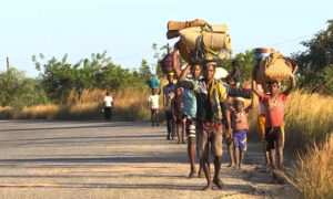 Quatro pessoas foram mortas por jihadistas em Mocímboa da Praia.