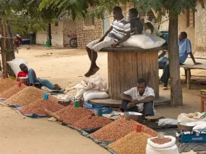 Trabalhadores propõem subsídio de desemprego e pensões integrais em Moçambique