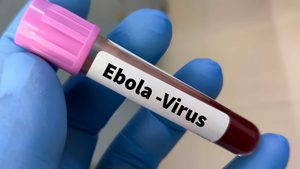 Epidemia de Ebola na RDC: Mais de 2,7 mil mortos e dois novos focos acendem sinal de alerta nas fronteiras regionais