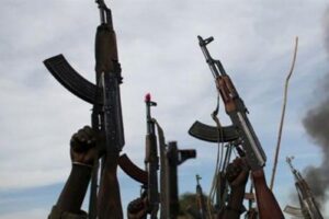 Manica: Afinal, os homens armados que circulam em Macossa pertencem às FDS?