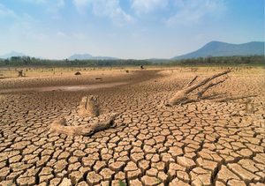 Super El Niño pode provocar centenas de milhares de mortes devido ao calor extremo